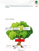 Planeación, programación y presupuestación federal, estatal y municipal