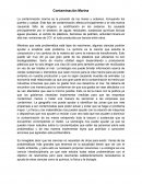 Contaminación Marina