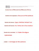 ANALISIS ESTRATEGIAS IMPLEMENTADAS