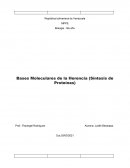 Bases Moleculares de la Herencia (Síntesis de Proteínas)