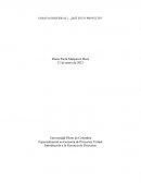 Ensayo sobre que es un proyecto?