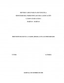 PROTOTIPO DE ESTUFA A GASOIL (DIESEL) CON GAS PRESURIZADO