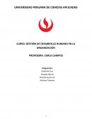 ANÁLISIS GRUPAL DE LA PELÍCULA UN SUEÑO POSIBLE