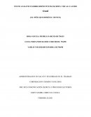 TEXTO ANALITICO SOBRE DISPOSITIVOS ESCRITO, VISUAL O AUDIO