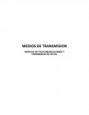 SERVICIO DE TELECOMUNICACIONES TRANSMISION DE DATOS