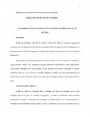 COLOMBIA COMO PUNTO DE VISTA SOCIO-ECONOMICO HACIA EL MUNDO