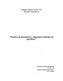 Practica de laboratorio 1: Segunda Condición de equilibrio