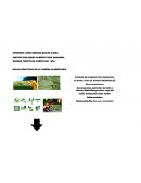 MALAS PRACTICAS EN LA CADENA ALIMENTARIA