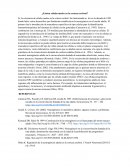 ¿Existen células madre en la corteza cerebral?