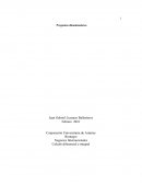 Negocios Internacionales. Calculo diferencial e integral