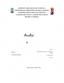 Analisis Acuerdo de Ginebra