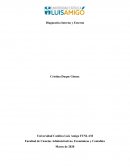 Diagnostico Interno y Externo. empresa: Stone