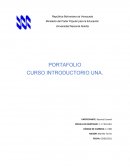 PORTAFOLIO CURSO INTRODUCTORIO UNA