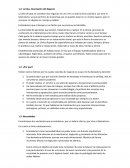 La idea. Descripción del Negocio