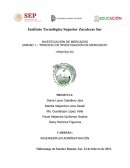 Proceso de investigación de mercados