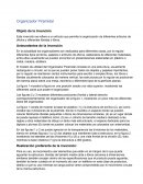 Organizador Piramidal