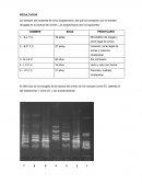 Informe Investigación DNA
