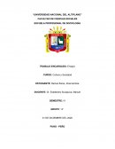 La importancia de la cultura en el contexto social y cultural de la sociedad peruana