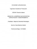 AREAS DE LA EMPRESA QUE NECESITAN CAPACITACION Y ADIESTRAMIENTO