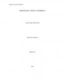 ORIGENES DE LA MUSICA COLOMBIANA