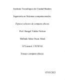 Tópicos selectos de computo ubicuo