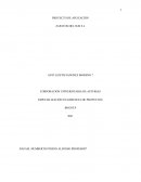 PROYECTO DE APLICACIÓN ZAPATOS DEL SUR S.L