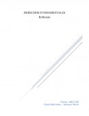 Teoría marxista de la alienación