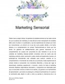 Marketing sensorial
