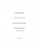 Planeacion argumentada