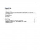 Adentrandose en la historia