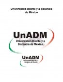 Fundamentos Administrativos unidad 2 el proceso administrativo