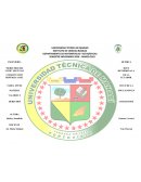 Derechos del buen vivir según lo determina la Constitución de la República del Ecuador
