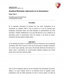 Amplitud Modulada: Aplicación en la Aeronáutica