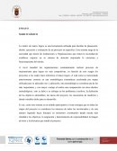 La matriz de marco lógico