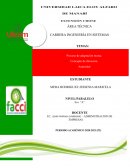 Proceso de adaptación mutua