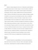 Informe de responsabilidades