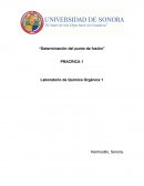 Practica 1 Determinación del punto de fusión