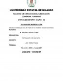 Mercado de trabajo y su tasa de empleo en los diferentes sectores económicos