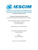 Introduccion al Comercio Internacional