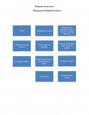 Diagrama de procesos Flujograma de llegada del cliente