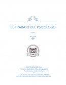 EL TRABAJO DEL PSICOLOGO