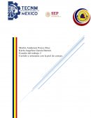 Curtido y artesanía con piel de conejo