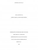 CREACION DE EMPRESA INTEGRAL SALUD ,TRABAJO FINAL SALUD OCUPACIONAL