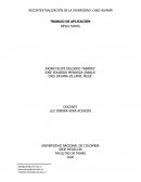 RECONTEXTUALIZACIÓN DE LA DIVERSIDAD: CASO ALEMÁN