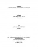 PLAN DE ACCIÓN PARA BRINDAR ESTABILIDAD FINANCIERA