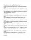 Segmentos de Mercado