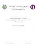 Reseña de la Plática “Mujeres Líderes” Impartida por la Doctora Nora Villa