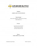Informe Sobre Diagnóstico y Planeación De la Empresa ASOCIADOS S.A.S