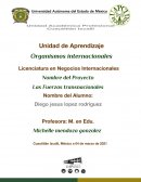 Fuerzas transnacionales