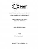 TEORÍA ADMINISTRATIVA Y ORGANIZACIONAL TALLER ELOGIO DE LA DIFICULTAD: ENCUENTRO INTERMEDIO